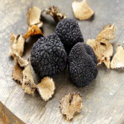 Oregon Black Truffle (Leucangium carthusianum)