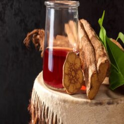 Ayahuasca
