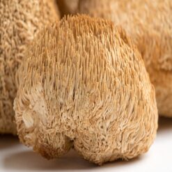Lion's Mane Mushrooms